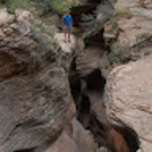 Meet your Posher, Sam